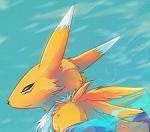 Fushigi na Renamon's Avatar