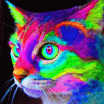Maijo's Avatar